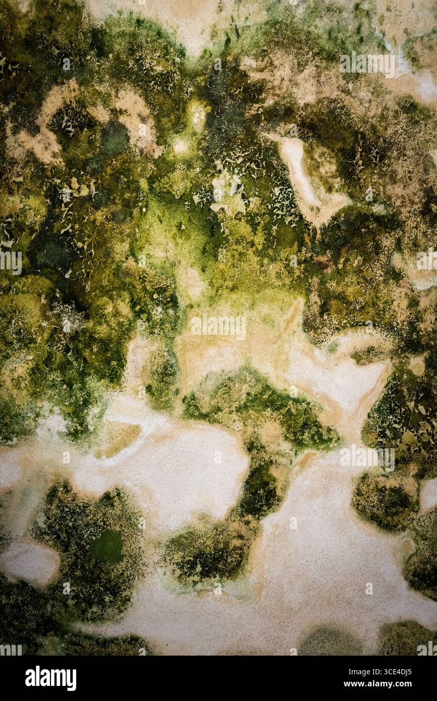 Un motivo intricato caratterizzato da varie sfumature di verde e di terra suggerisce un paesaggio naturale. Le texture evocano l'essenza del muschio Foto Stock