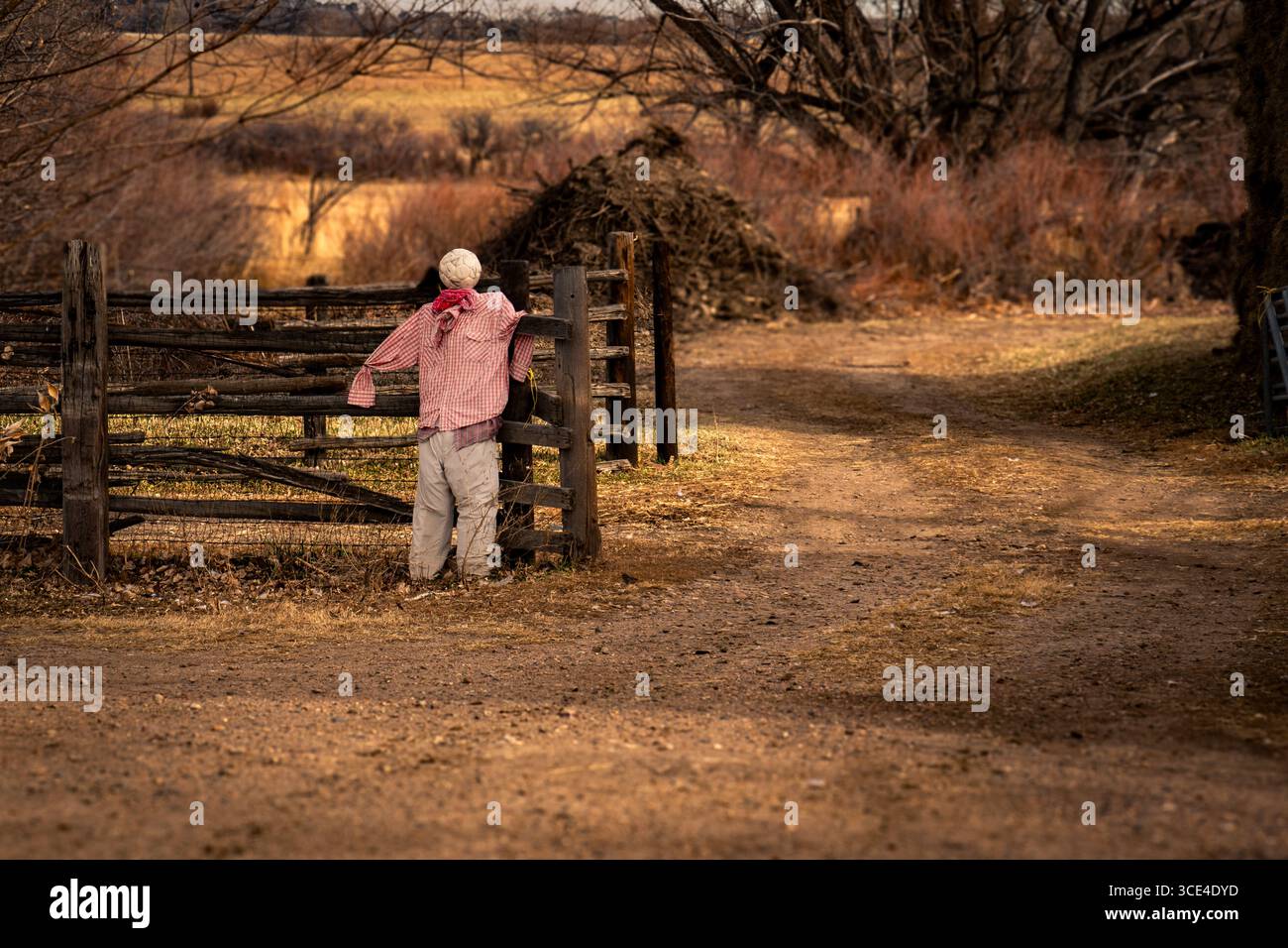 The Silent Farmhand – Una presenza ancora presente in un paesaggio rurale senza tempo. Foto Stock