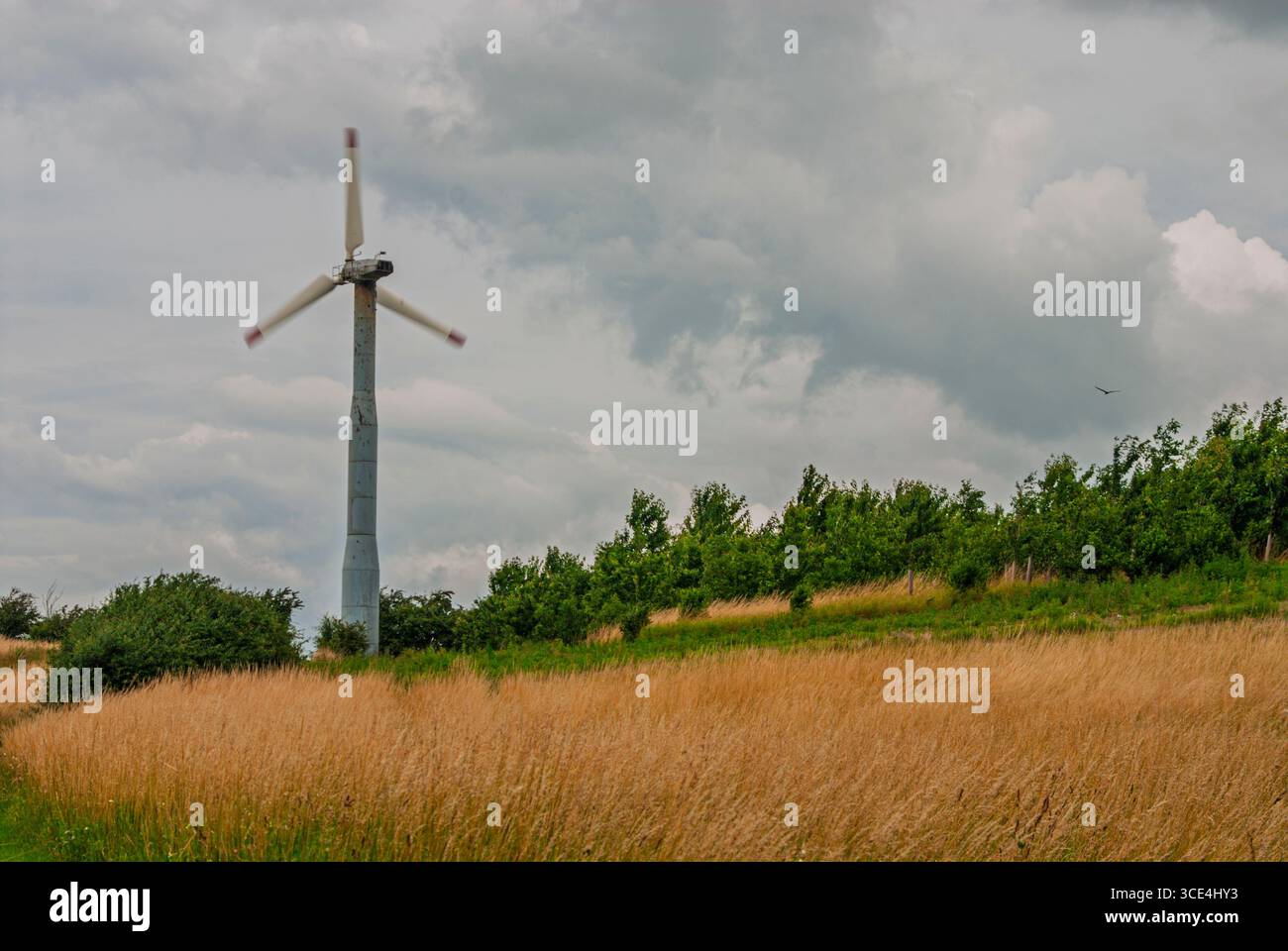 Torre dell'energia eolica in movimento. È possibile vedere il leggero movimento, sia nella torre del vento che nel campo. Uccello che naviga verso il cielo. Colori eccellenti c Foto Stock