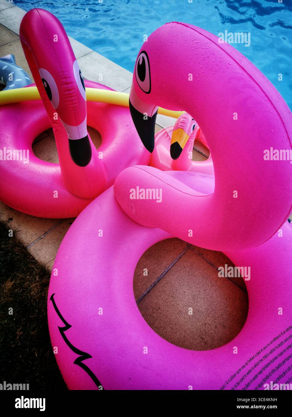 Due vivaci galleggianti rosa a forma di fenicottero riposano sul lato piscina piastrellato, mostrando il loro design giocoso sullo sfondo. Francia Foto Stock
