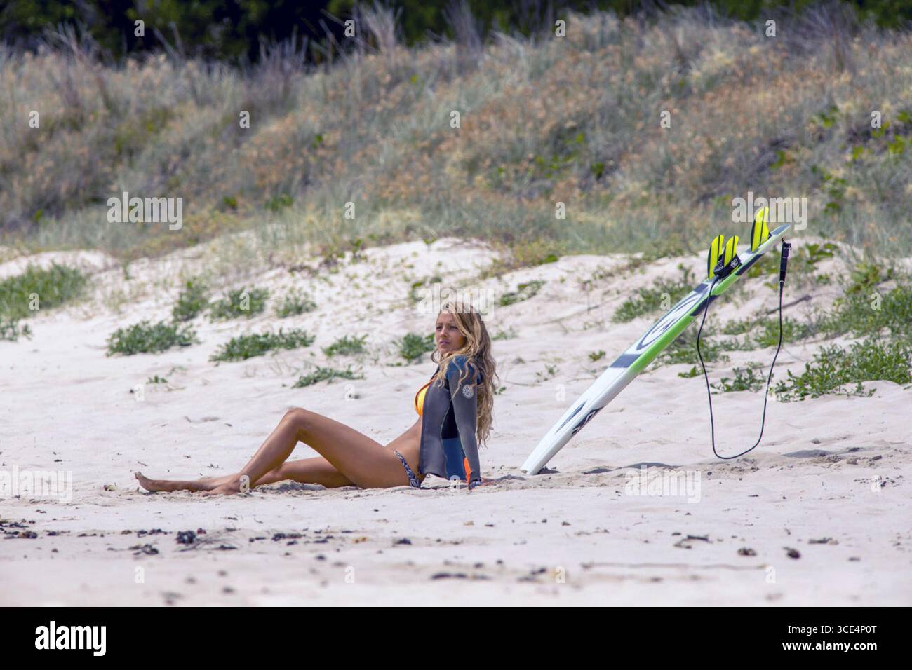 The Shallows è un film del 2016 diretto da Jaume Collet-Serra, scritto da Anthony Jaswinski e interpretato da Blake Lively. Nel film, la studentessa di medicina Nancy Adams viene bloccata a 200 iarde (180 m) dalla costa e deve usare il suo ingegno e la sua determinazione per sopravvivere a un grande attacco di squalo bianco. Le riprese principali sono iniziate nell'ottobre 2015 nel nuovo Galles del Sud e nel Queensland, in Australia. Foto Stock