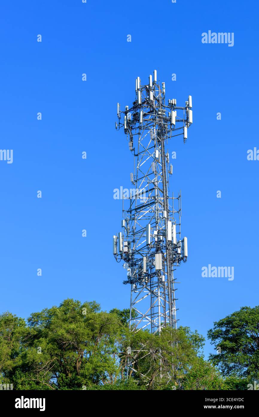 Un'alta torre di celle metalliche si erge sopra le cime degli alberi, coperta da antenne e trasmettitori sotto un cielo azzurro. Foto Stock