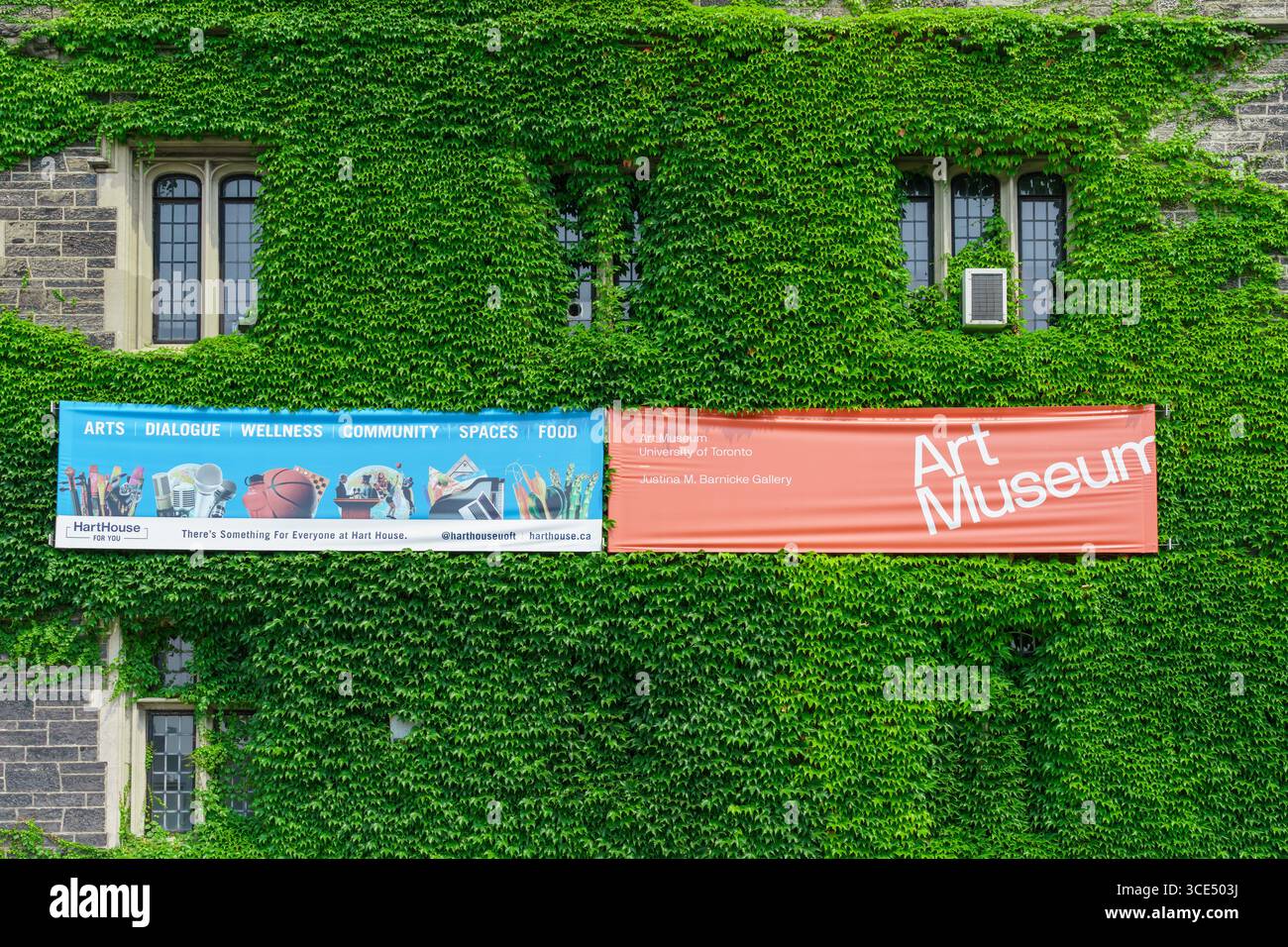 Facciata ricoperta di edera con striscioni che promuovono il Museo d'Arte e gli eventi della comunità nel campus di St. George. Foto Stock