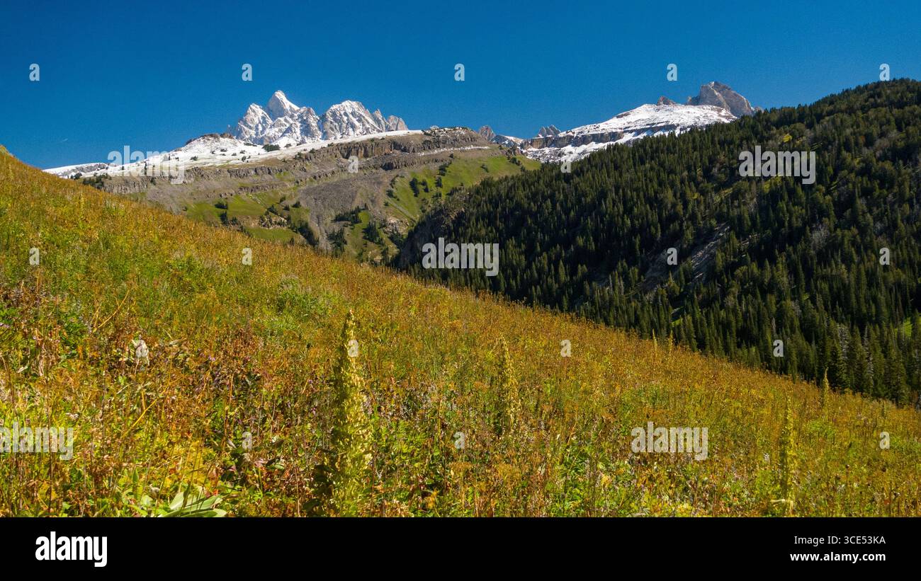 Il Grand Teton al di sopra del picco Death Canyon, il Parco Nazionale del Grand Teton, Teton County, Wyoming USA Foto Stock