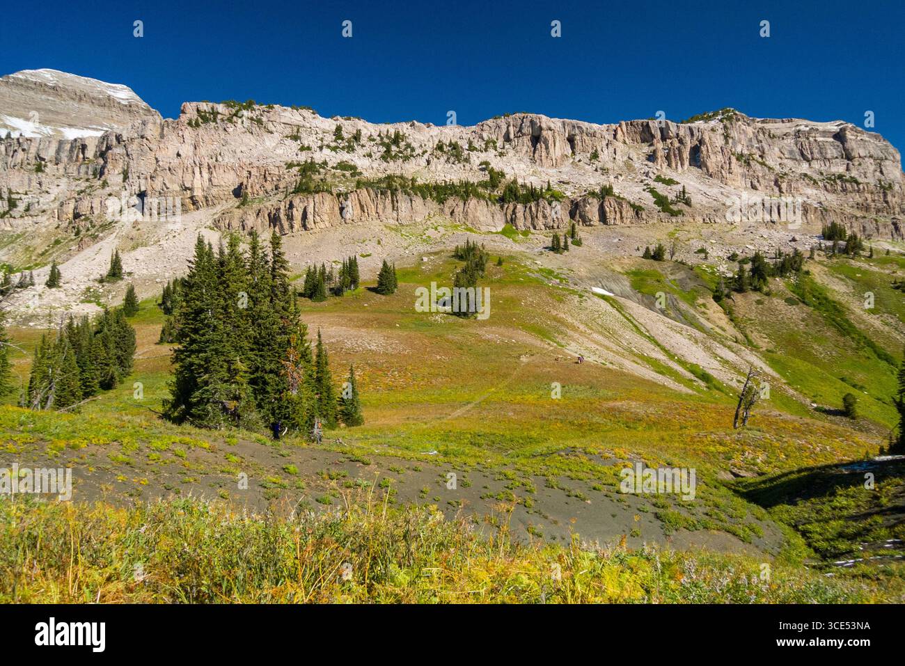 Backpackers a Fox Creek Pass, Jedediah Smith Wilderness, Teton County, Wyoming USA Foto Stock