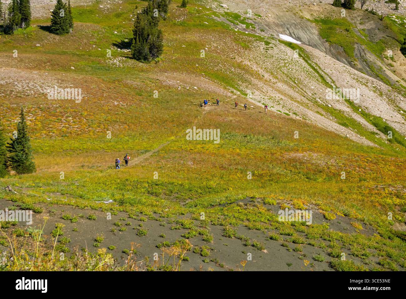 Backpackers a Fox Creek Pass, Jedediah Smith Wilderness, Teton County, Wyoming USA Foto Stock