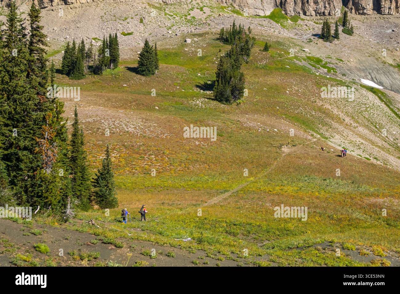 Backpackers a Fox Creek Pass, Jedediah Smith Wilderness, Teton County, Wyoming USA Foto Stock