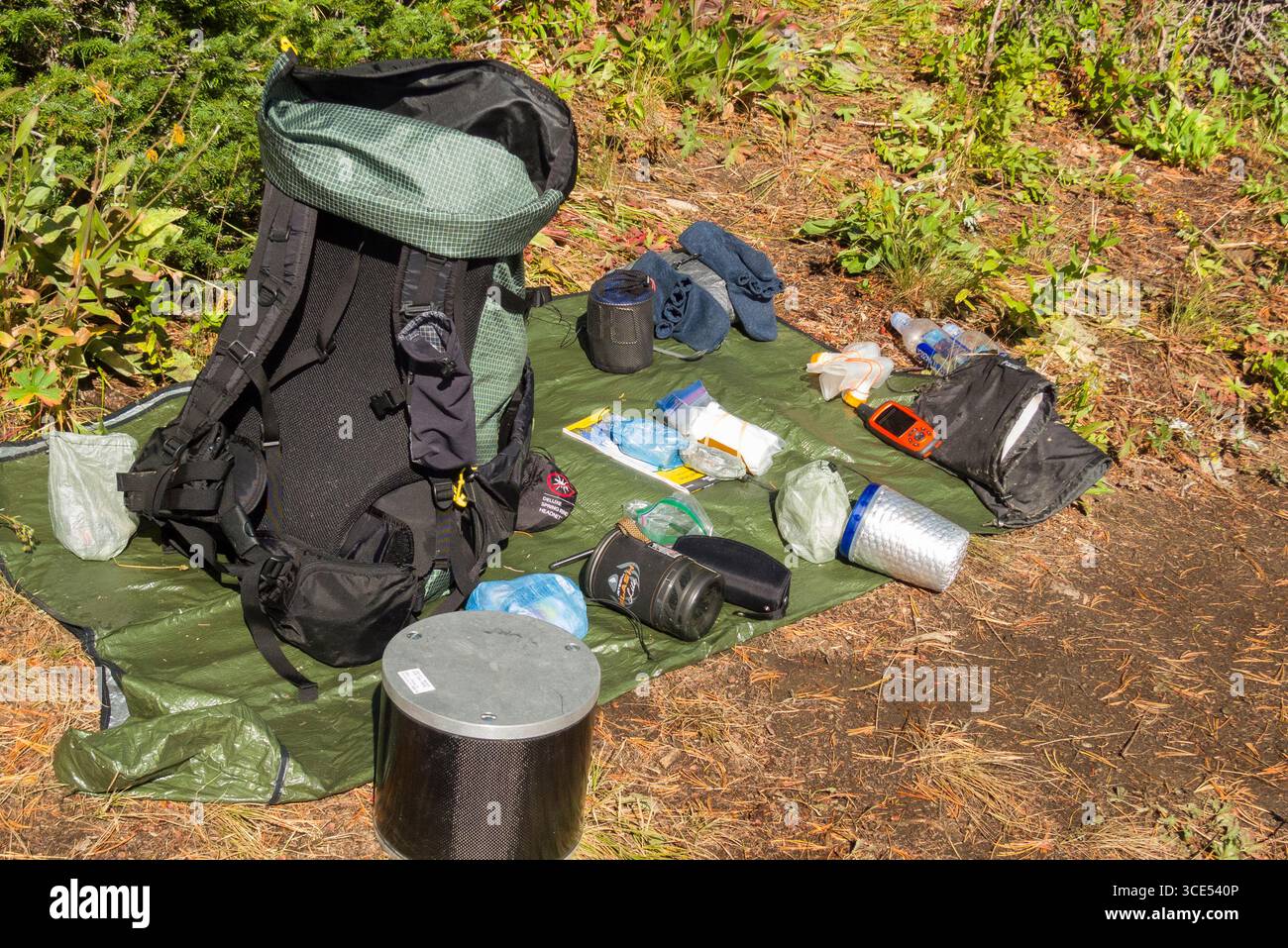 Zaino con il suo contenuto sparso sul verde tarp ad asciugare al sole del mattino, il Parco Nazionale del Grand Teton, Teton County, Wyoming USA Foto Stock