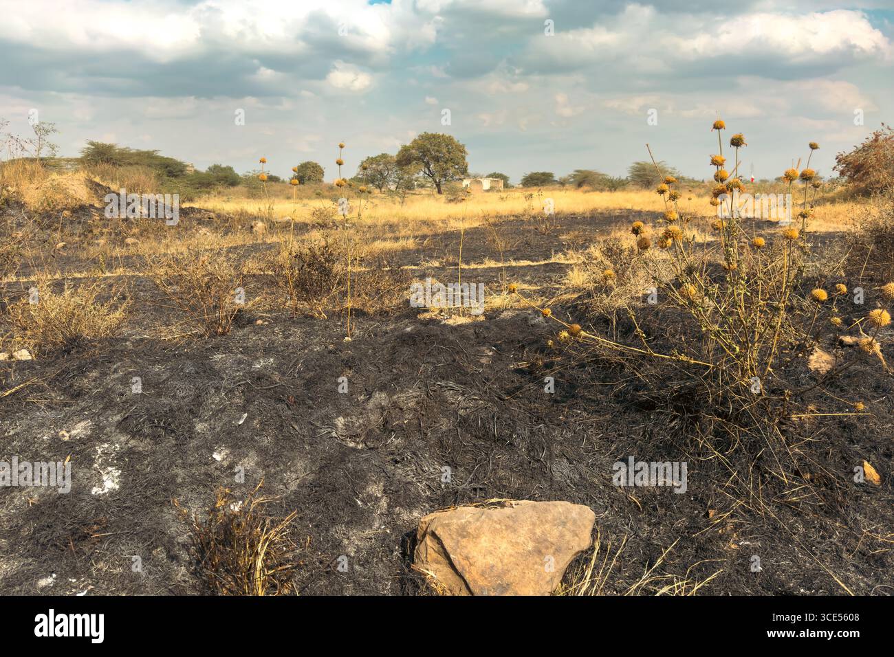 Agricoltori che bruciano campi, noti anche come combustione agricola in preparazione alla piantagione di semi nella contea di Machakos, Kenya Foto Stock