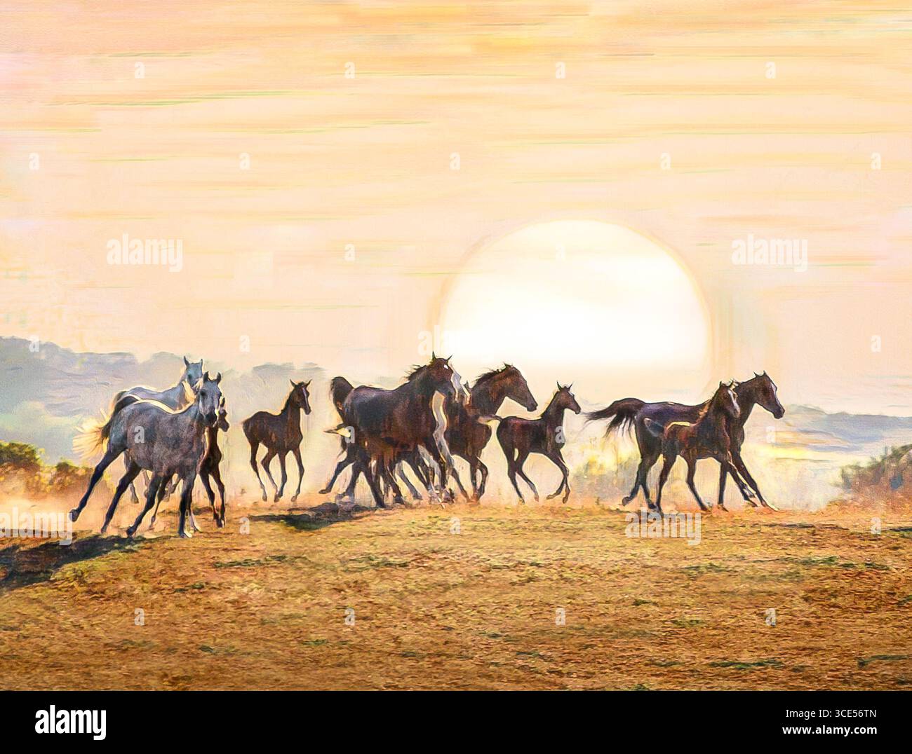Branco di puledri e puledri arabi che corrono attraverso un'alba. Foto artistiche digitali stilizzate. Foto Stock