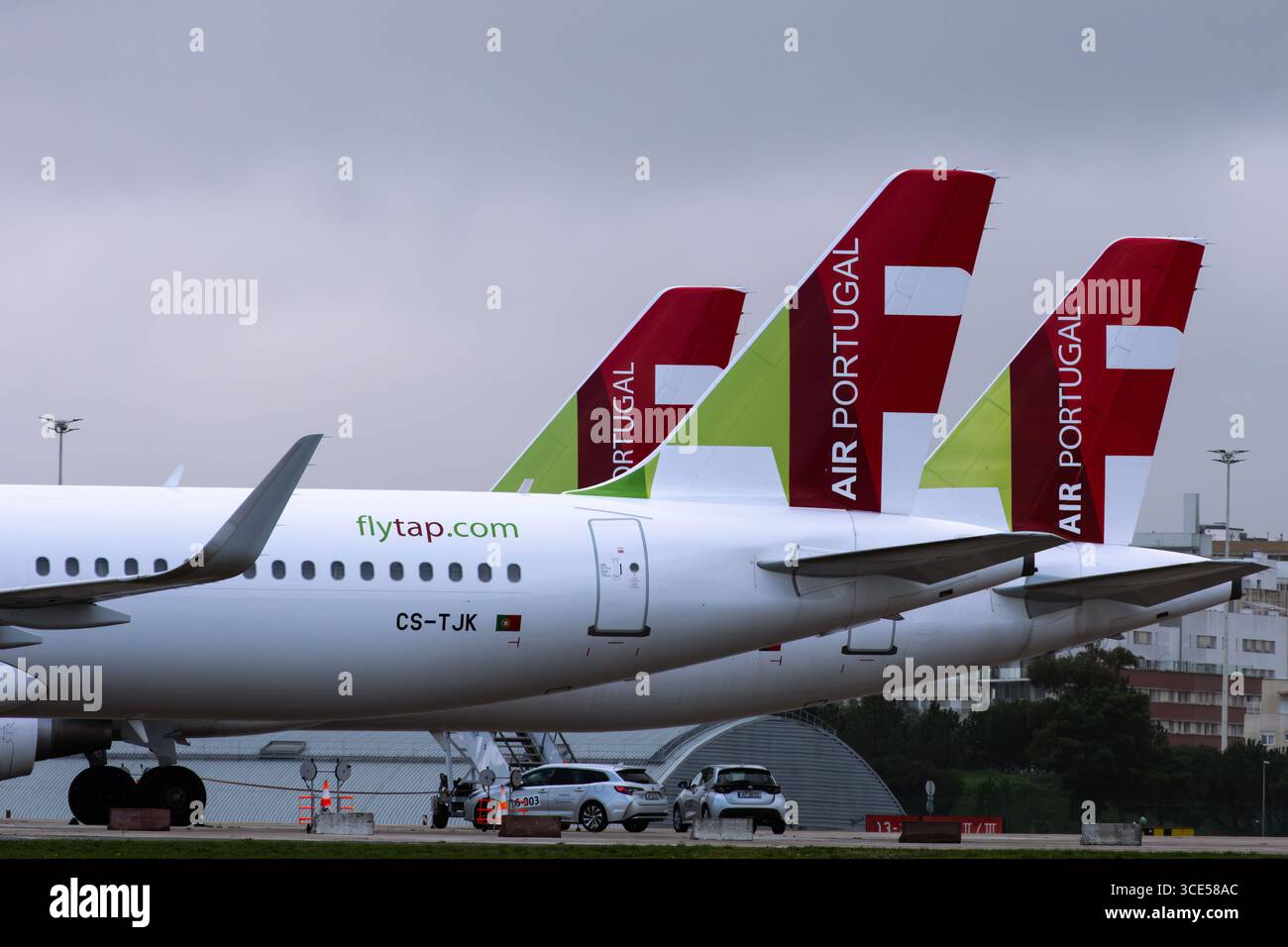 Fila di aeromobili TAP Air Portugal con pinne rosse e verdi distintive parcheggiate in un aeroporto. Foto Stock