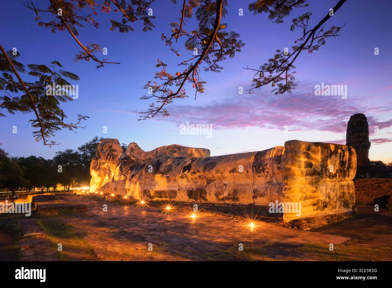 Tempio buddista illuminato di notte, Ayudthaya, Thailandia Foto Stock