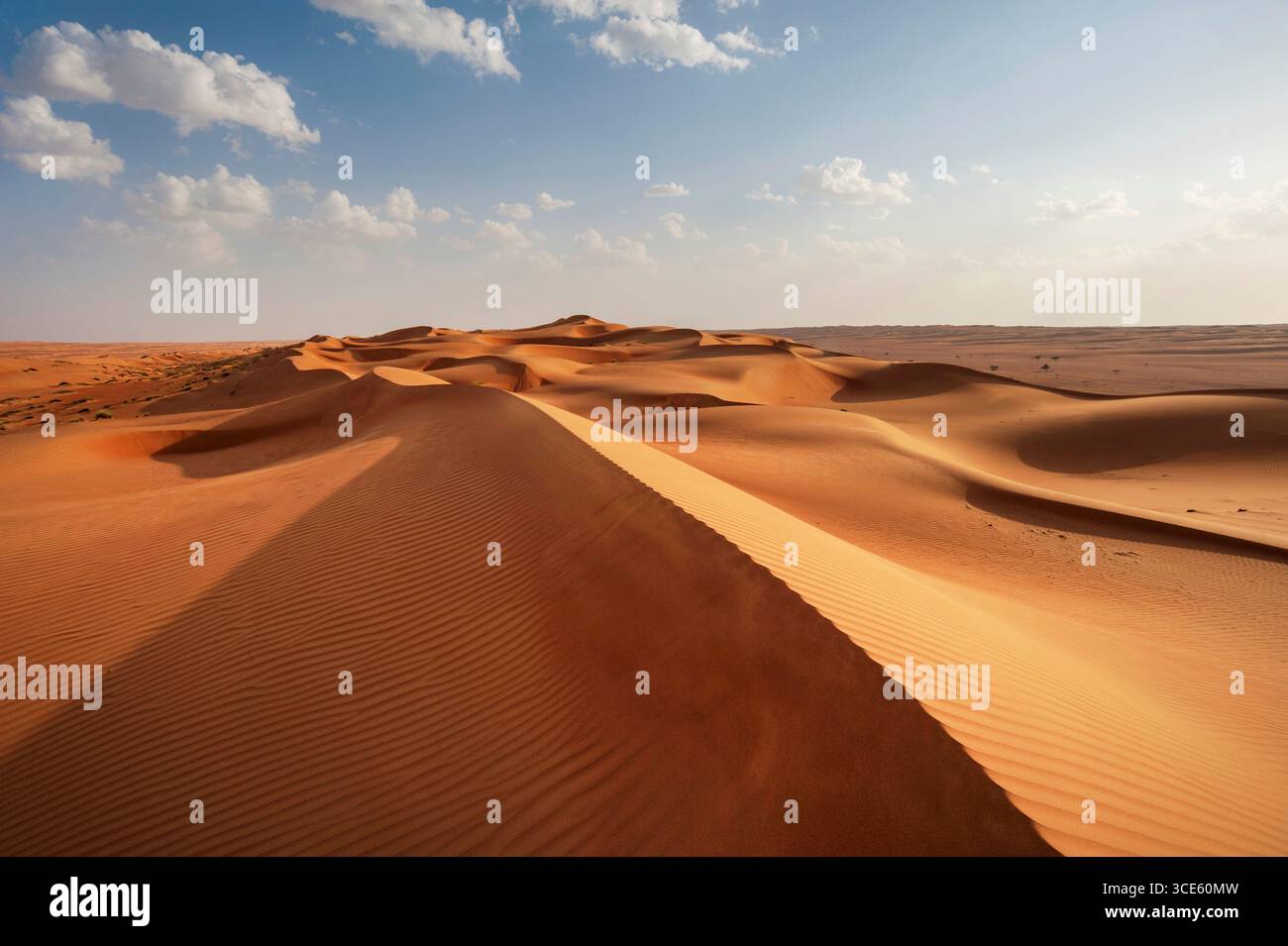 Desert Sharqiya Sands, Oman, Dschanub asch-Scharqiyya, Wahiba Sands Foto Stock