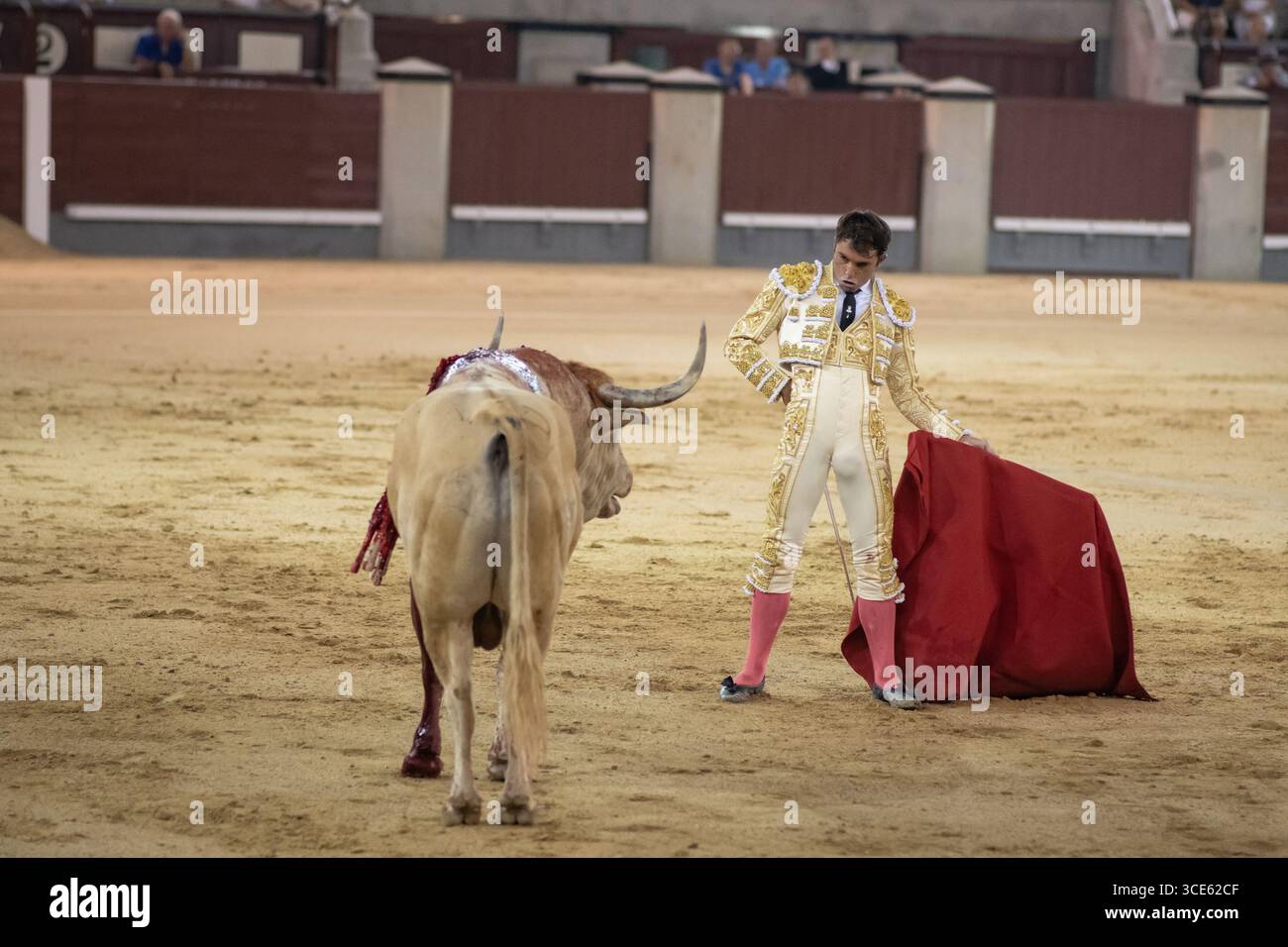 Il torero Rafa Serna durante la corrida con tori del ranch El Torero in Plaza de las Ventas a Madrid, 15 agosto, 2025, Spagna. Foto Stock