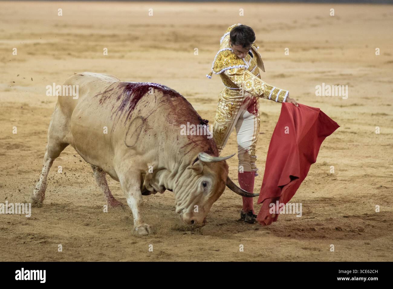 Il torero Rafa Serna durante la corrida con tori del ranch El Torero in Plaza de las Ventas a Madrid, 15 agosto, 2025, Spagna. Foto Stock