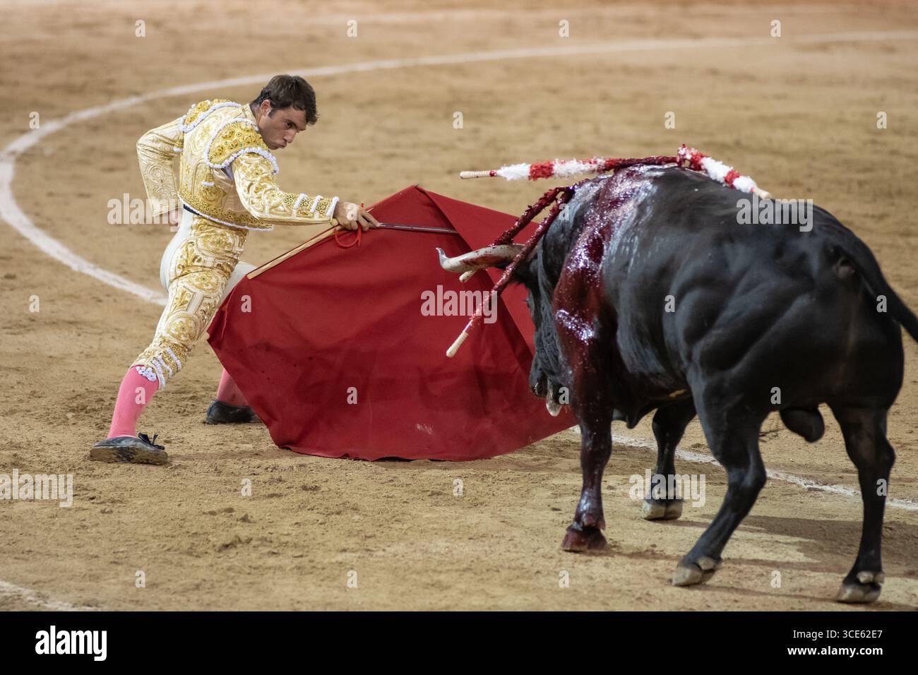 Il torero Rafa Serna durante la corrida con tori del ranch El Torero in Plaza de las Ventas a Madrid, 15 agosto, 2025, Spagna. Foto Stock