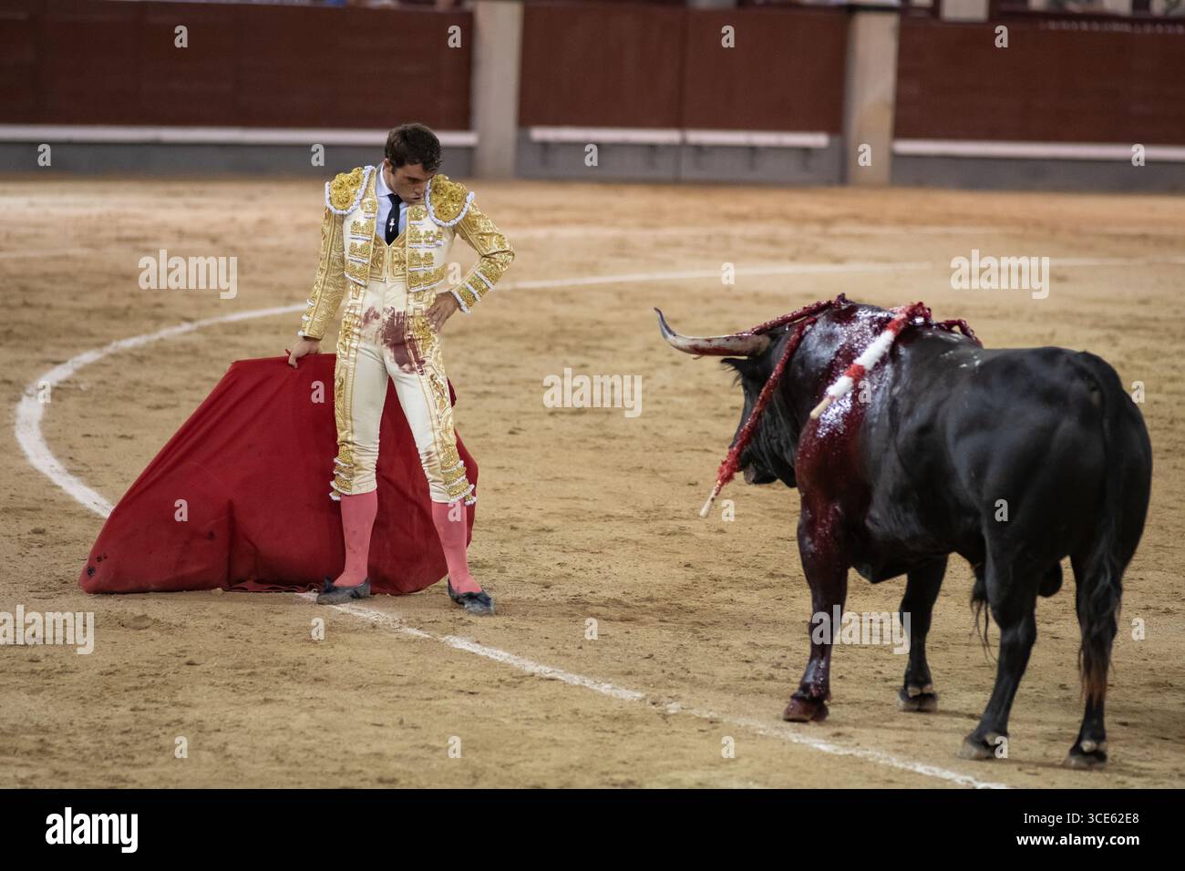 Il torero Rafa Serna durante la corrida con tori del ranch El Torero in Plaza de las Ventas a Madrid, 15 agosto, 2025, Spagna. Foto Stock