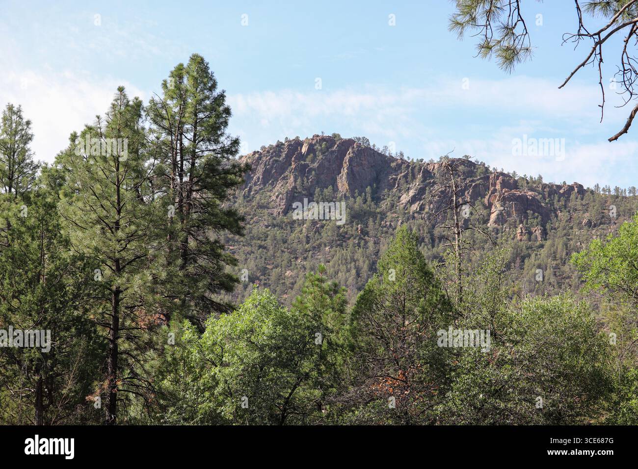 Vista delle montagne dal Cypress Trail a Payson, Arizona. Foto Stock