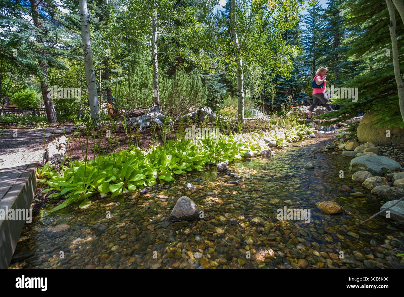 Donna che cammina sul percorso in Betty Ford Alpine Gardens, Vail, Eagle County, Colorado, STATI UNITI D'AMERICA Foto Stock