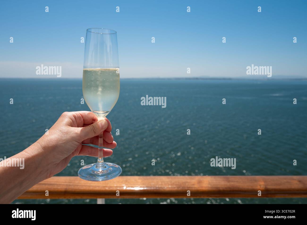 Brindisi con champagne al mare Foto Stock