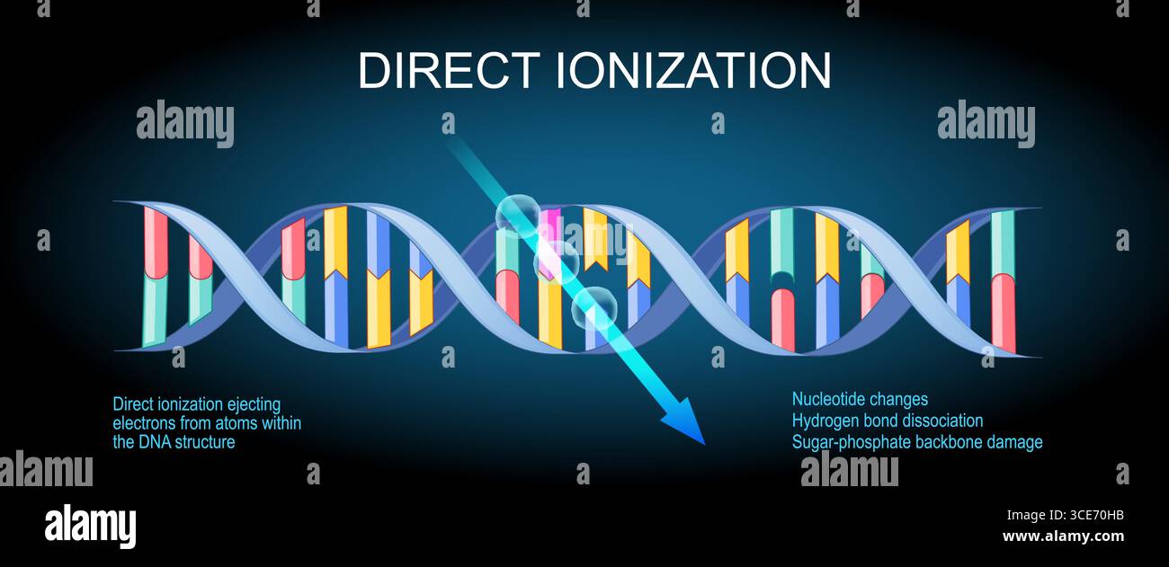 Ionizzazione diretta che espelle elettroni dagli atomi all'interno della struttura del DNA. Danni alla spina dorsale di fosfato-zucchero. Dissociazione del legame idrogeno. Nucleotide chan Illustrazione Vettoriale