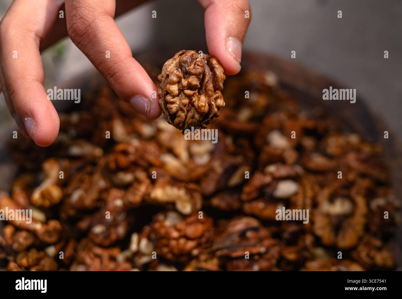 Chicchi di noci Kashmir ad alto contenuto di olio, consistenza croccante e sapore ricco, gusto dolce. Ricca fonte di energia, minerali, nutrienti, antiossidanti, Foto Stock