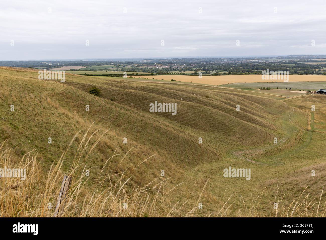 Vista delle pendici di gesso e della campagna del Wiltshire dalla cima di Morgans Hill, Wiltshire, Inghilterra, Regno Unito. Un sito di particolare interesse scientifico Foto Stock
