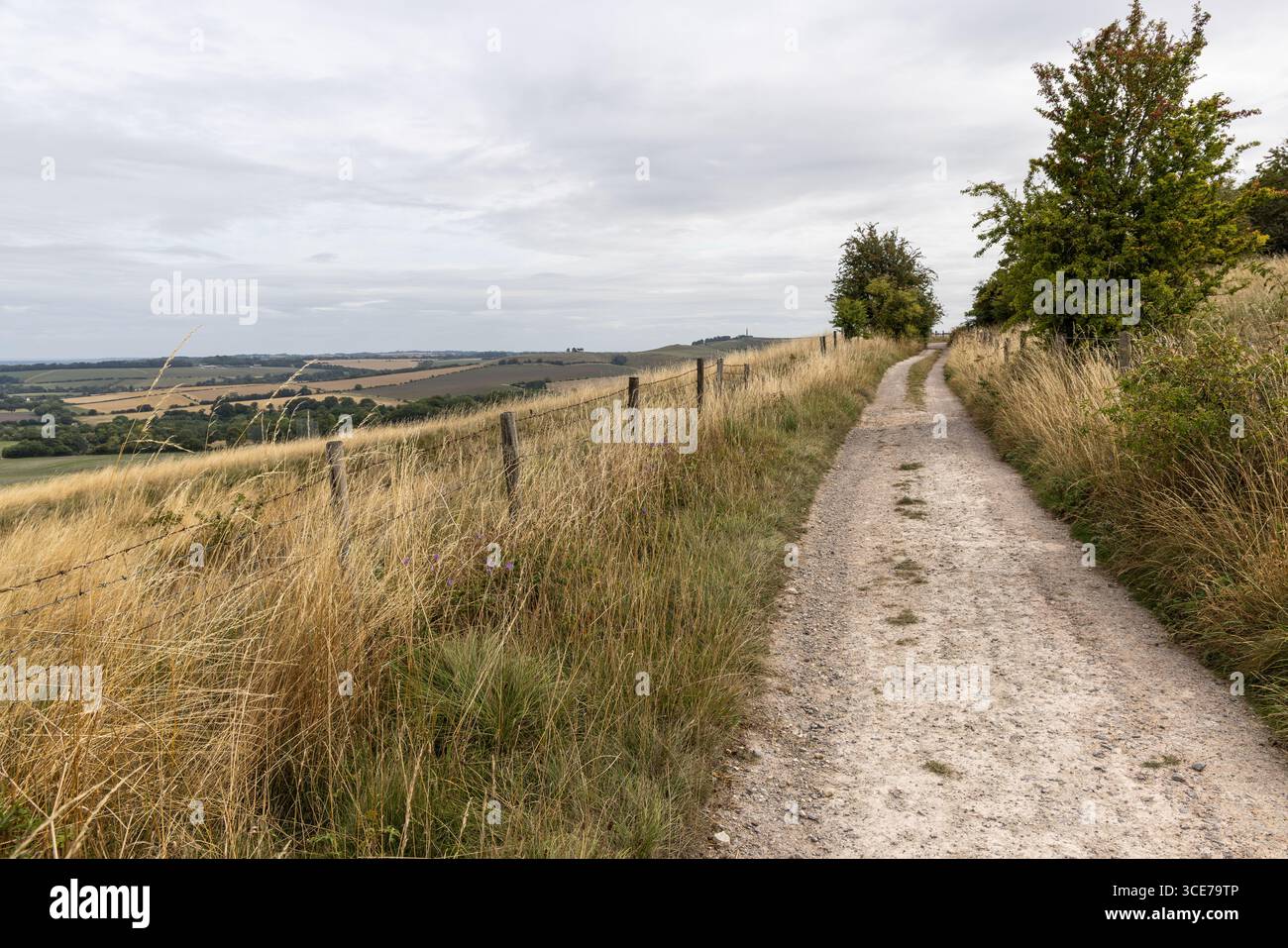 Un percorso/binario in gesso che conduce a Morgans Hill, Wiltshire, Inghilterra, Regno Unito. Un sito di particolare interesse scientifico Foto Stock