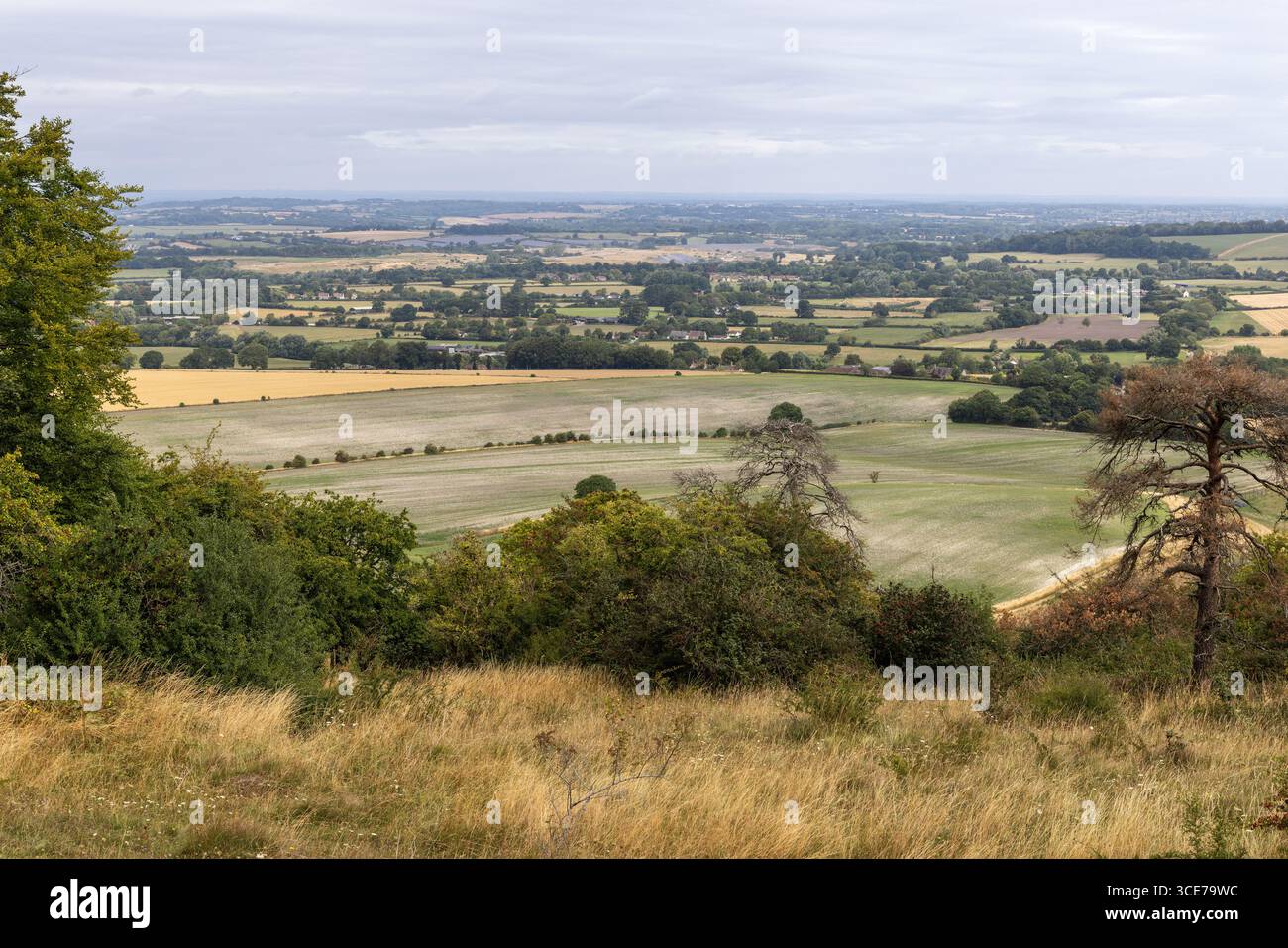 Vista sulla campagna del Wiltshire dalla cima di Morgans Hill, Wiltshire, Inghilterra, Regno Unito. Un sito di interesse scientifico speciale Foto Stock