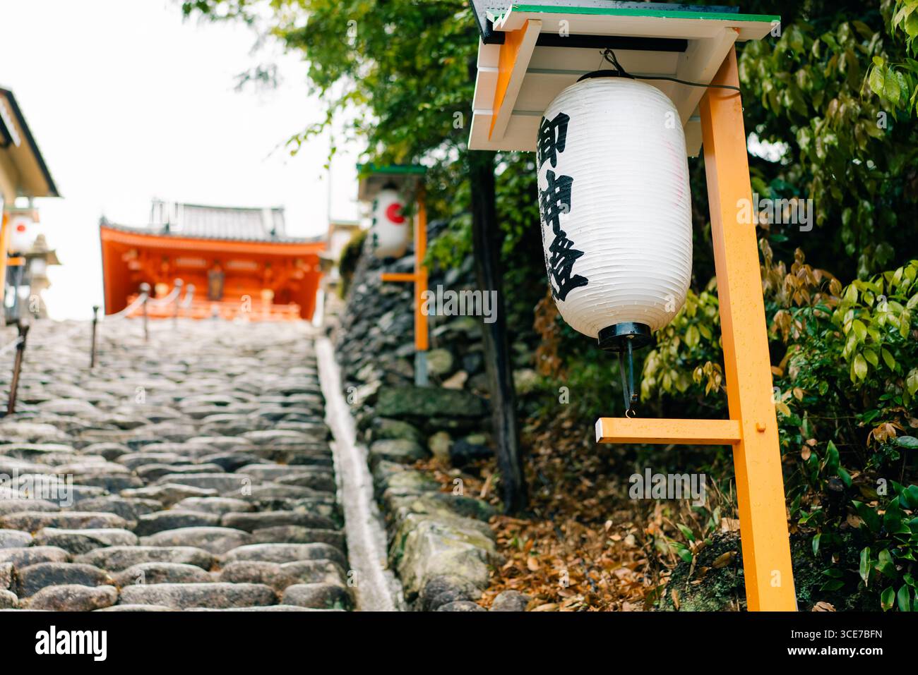 Matsuyama, Giappone - 22 maggio 2025 il Main Hall honden di Isaniwa Jinja, un santuario shintoista nella città di Matsuyama. Foto di alta qualità Foto Stock