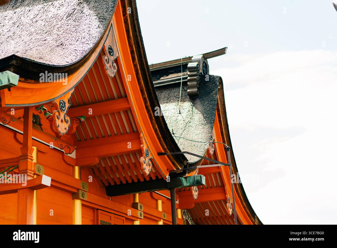 Matsuyama, Giappone - 22 maggio 2025 il Main Hall honden di Isaniwa Jinja, un santuario shintoista nella città di Matsuyama. Foto di alta qualità Foto Stock