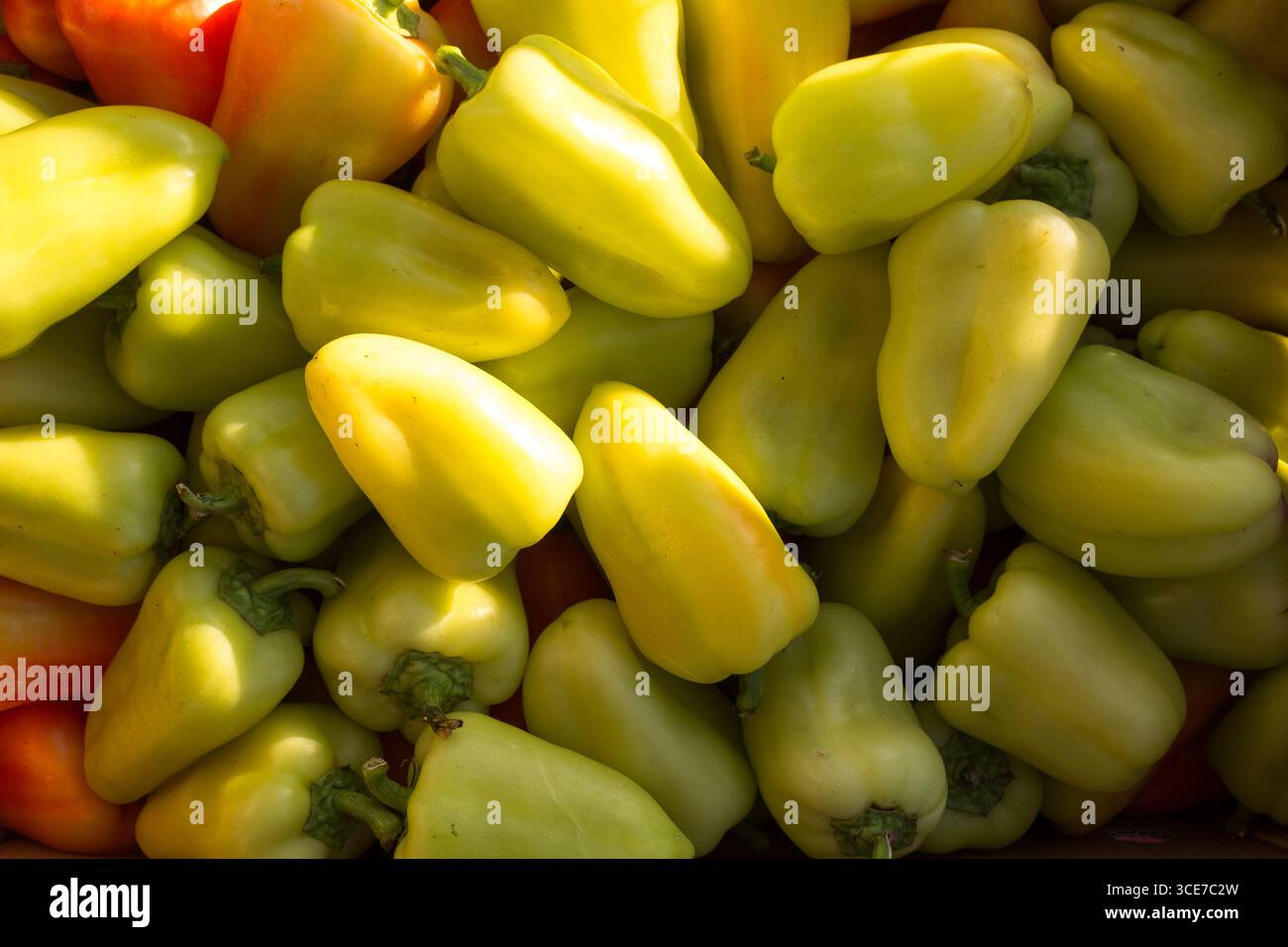 peperoni gialli dolci. Un mucchio di verdure sane colorate sullo sfondo. Foto Stock