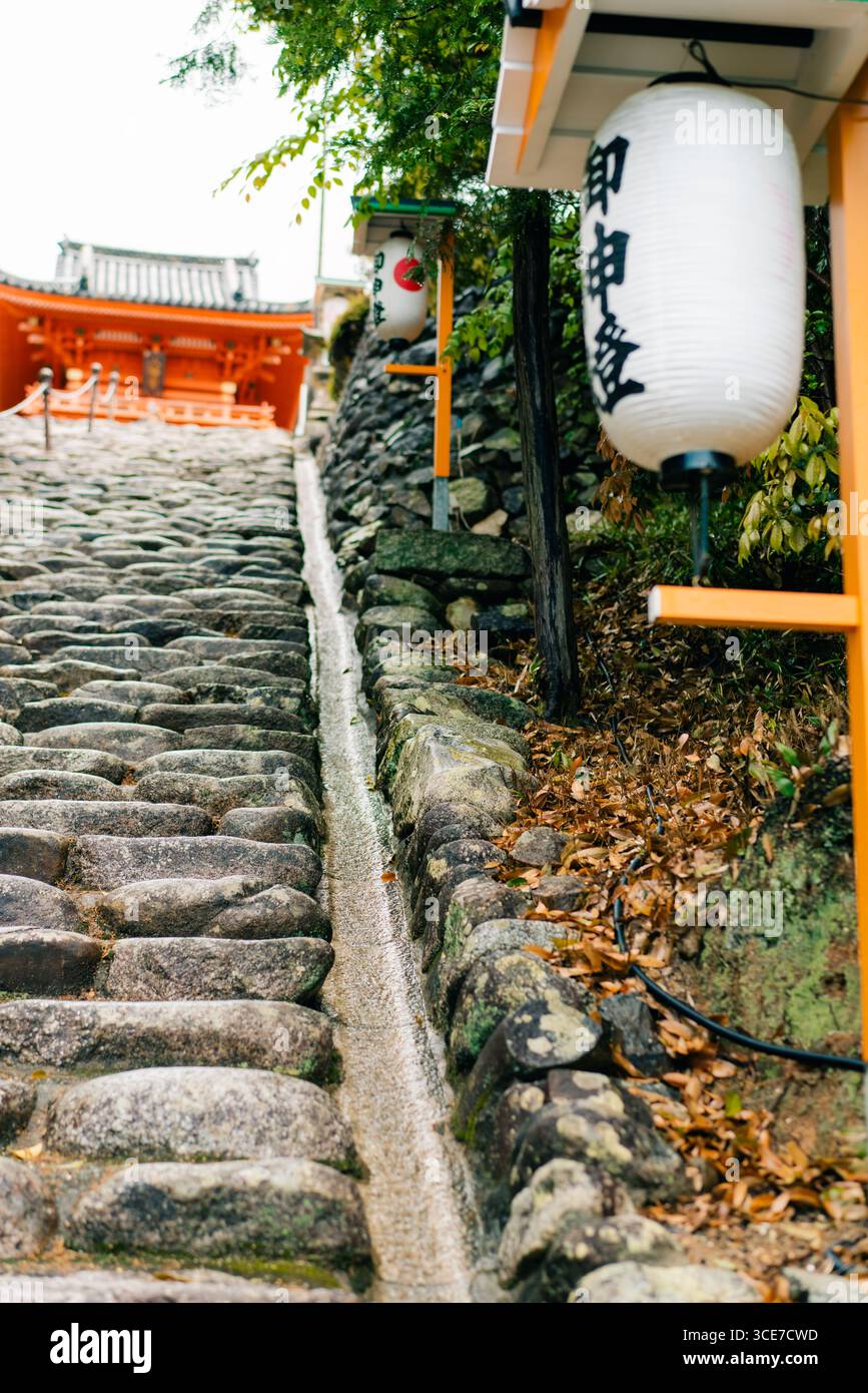 Matsuyama, Giappone - 22 maggio 2025 il Main Hall honden di Isaniwa Jinja, un santuario shintoista nella città di Matsuyama. Foto di alta qualità Foto Stock