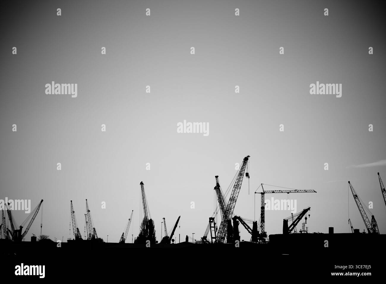 Silhouette bianca e nera di gru in un sito industriale Foto Stock