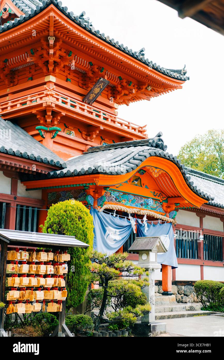 Matsuyama, Giappone - 22 maggio 2025 il Main Hall honden di Isaniwa Jinja, un santuario shintoista nella città di Matsuyama. Foto di alta qualità Foto Stock