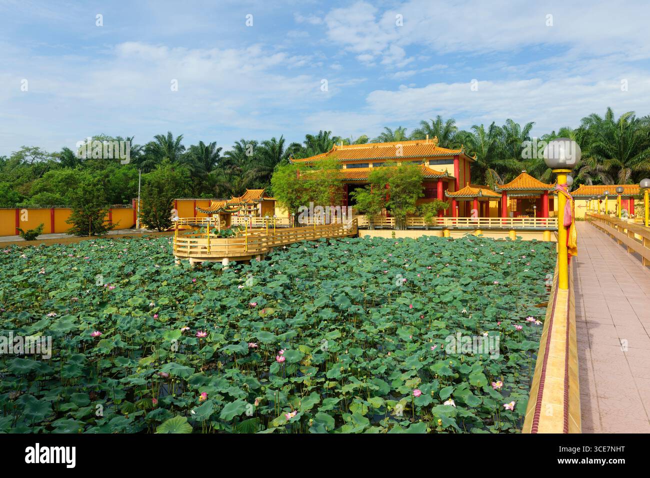 Ho visto Hock Yeen, noto tempio di Confucio per aver portato fortuna agli studenti, Lotus Pond, Chemor, Perak, Malesia Foto Stock