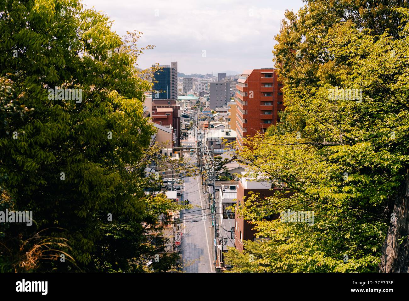 Matsuyama, Giappone - 22 maggio 2025 il Main Hall honden di Isaniwa Jinja, un santuario shintoista nella città di Matsuyama. Foto di alta qualità Foto Stock