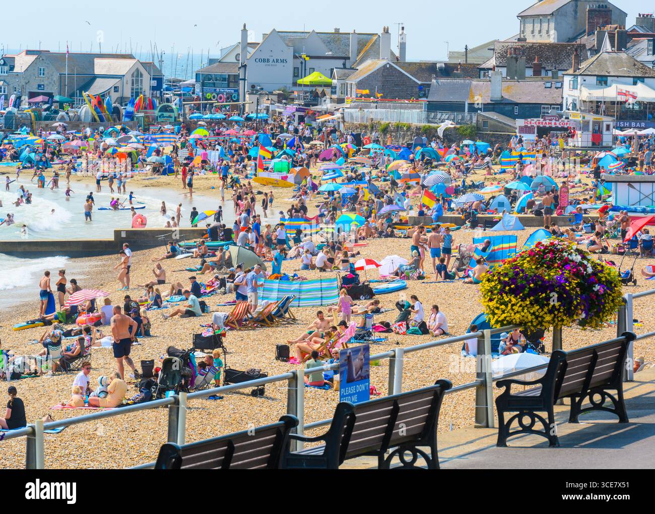 Lyme Regis, Dorset, Regno Unito. 16 agosto 2025. Meteo nel Regno Unito: Folle di turisti e bagnanti affollano la spiaggia presso la località balneare di Lyme Regis per crogiolarsi di nuovo nel caldo sole rovente questo fine settimana. Il caldo caldo caldo del mediterraneo è destinato a continuare durante il fine settimana rendendo il 2025 uno degli anni più caldi e soleggiati mai registrati. Crediti: Celia McMahon/Alamy Live News Foto Stock