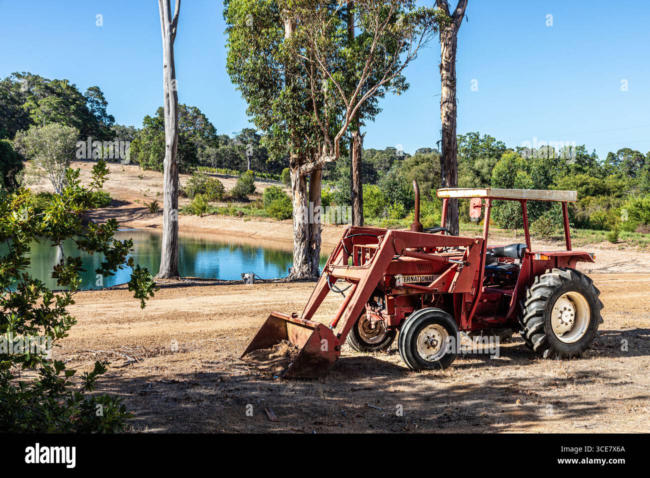 Un trattore internazionale con caricatore frontale accanto a una diga in una proprietà vicino a Witchcliffe, Rosa Glen, Margaret River nella regione sud-occidentale dell'Australi Foto Stock