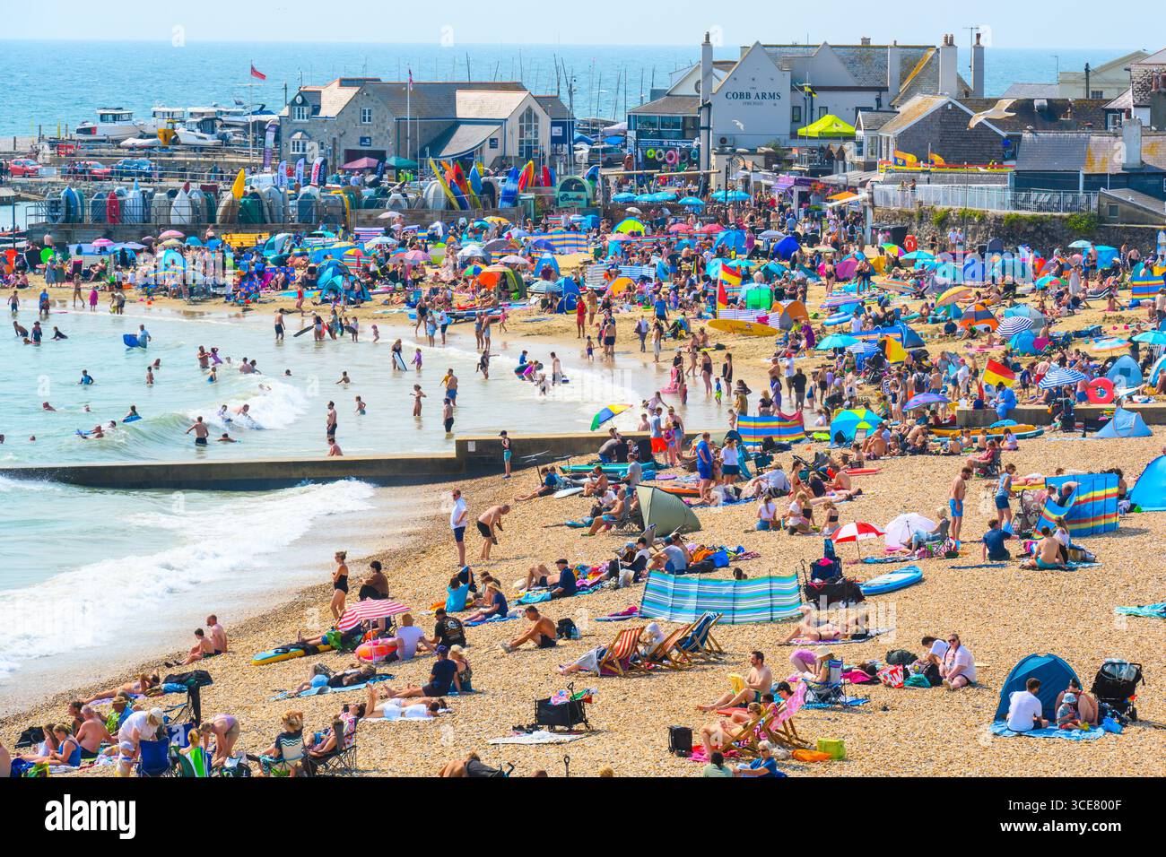 Lyme Regis, Dorset, Regno Unito. 16 agosto 2025. Meteo nel Regno Unito: Folle di turisti e bagnanti affollano la spiaggia presso la località balneare di Lyme Regis per crogiolarsi di nuovo nel caldo sole rovente questo fine settimana. Il caldo caldo caldo del mediterraneo è destinato a continuare durante il fine settimana rendendo il 2025 uno degli anni più caldi e soleggiati mai registrati. Crediti: Celia McMahon/Alamy Live News Foto Stock