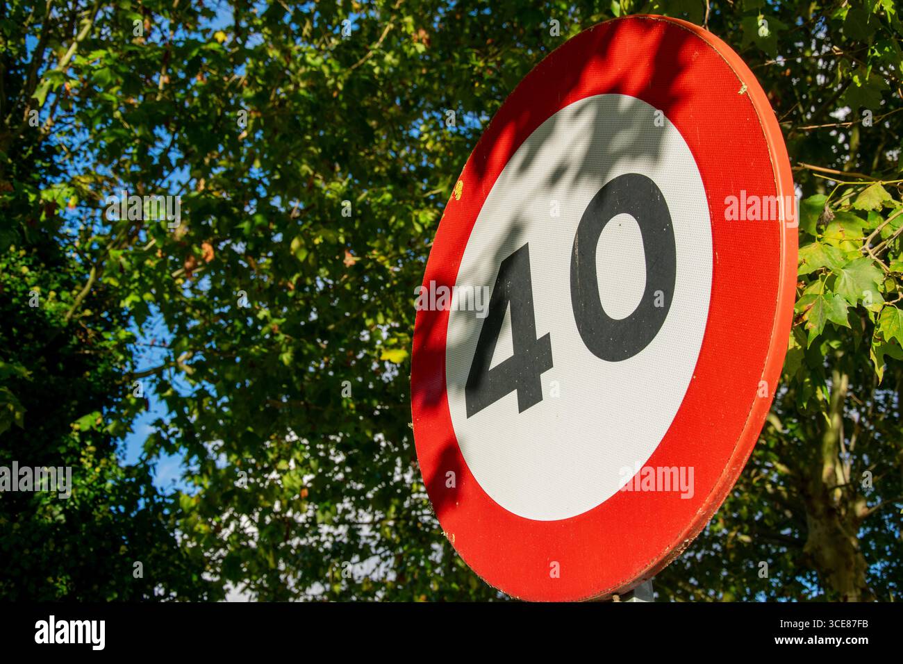 Limite di velocità europeo 40 km/h Road segnalate Un cartello stradale circolare con un bordo rosso che indica una velocità massima di 40 km/h. Foto Stock