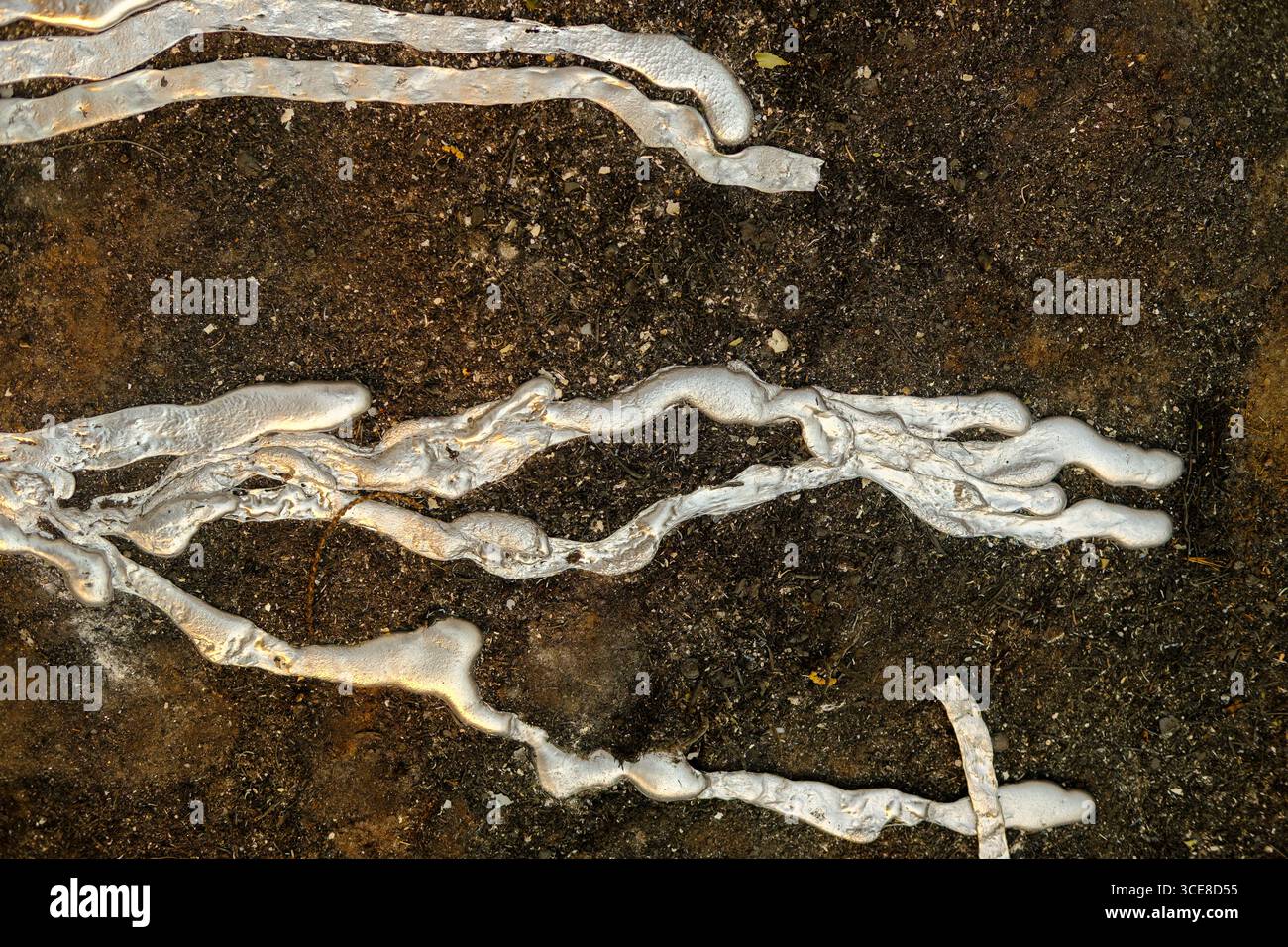 La struttura del piombo solidificato o dell'alluminio su una superficie scura. Foto Stock La struttura del piombo solidificato o dell'alluminio su una superficie scura. Foto Stock