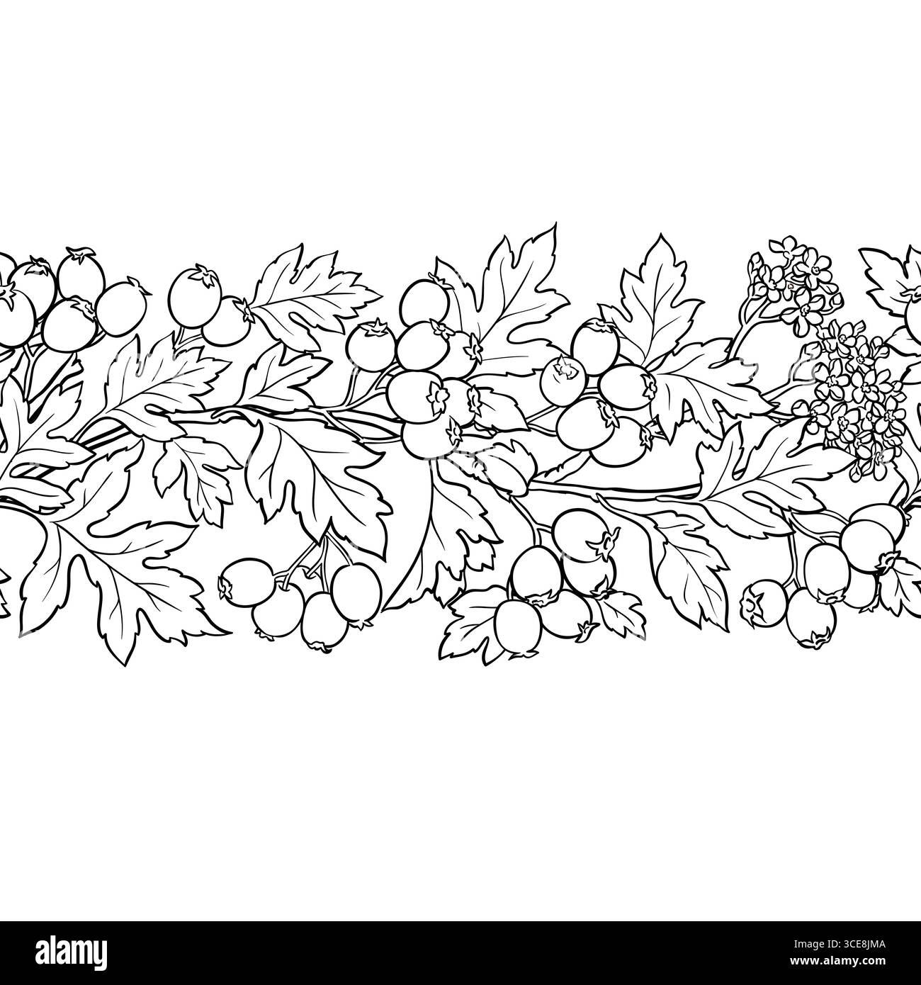 Contorno biancospino tracciato orizzontale senza giunture Illustrazione Vettoriale