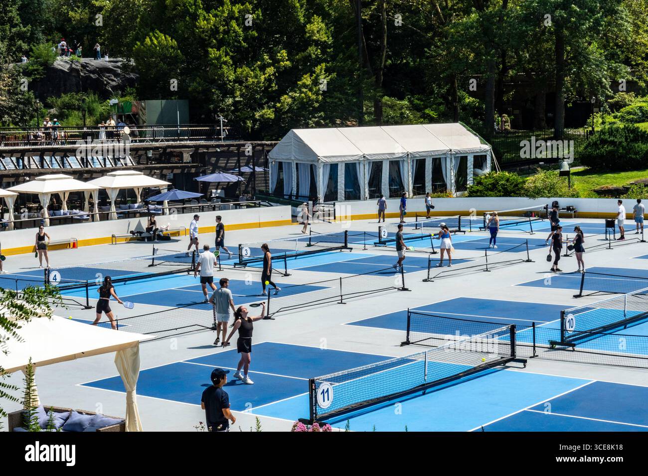 Giocatori che giocano a Pickleball nei campi di Wollman a Central Park in un pomeriggio estivo, 2025, New York City, Stati Uniti Foto Stock