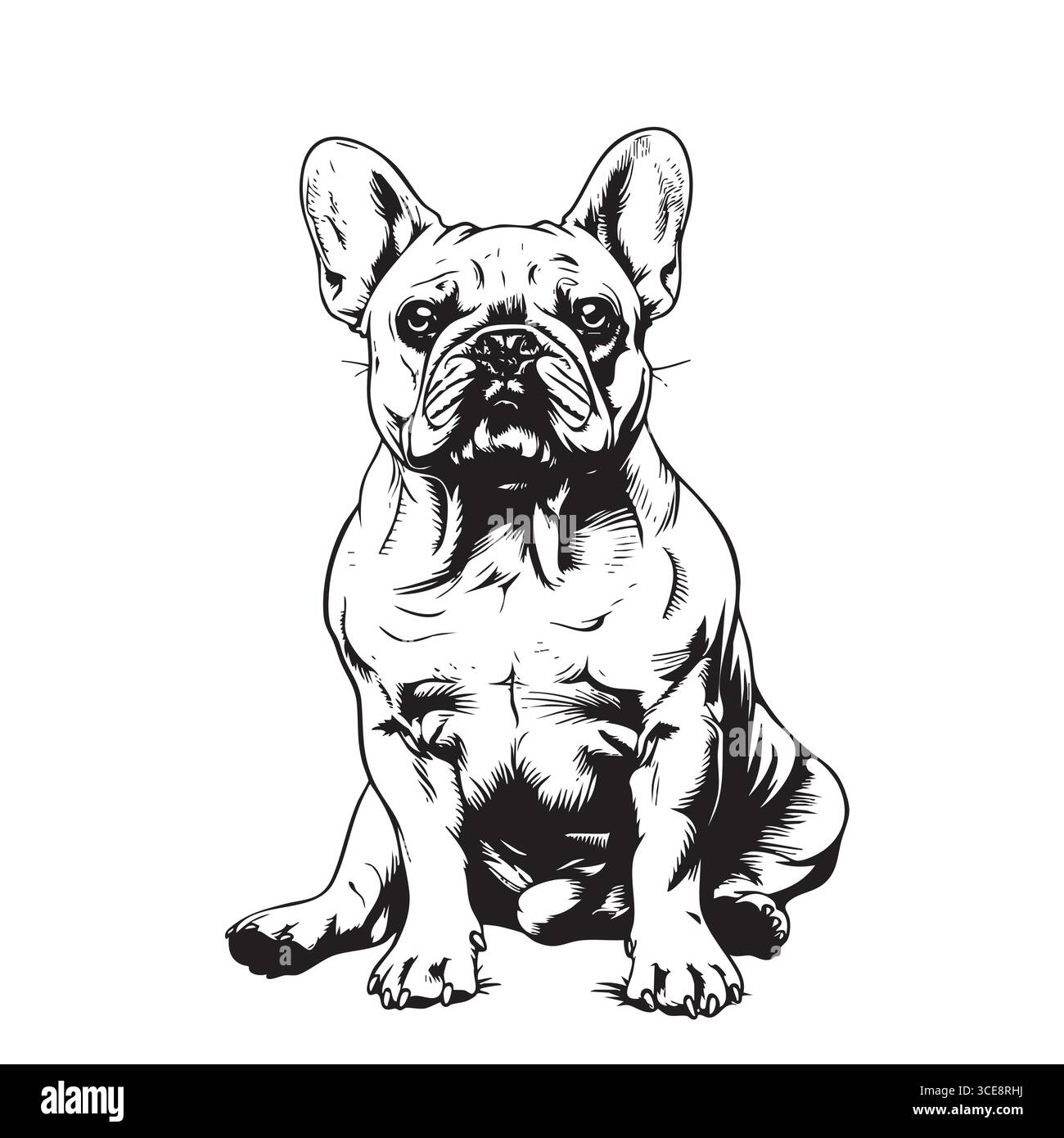 Bella testa di Bulldog francese. Cane seduto Illustrazione Vettoriale