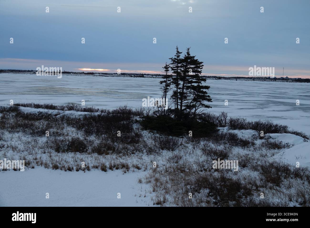 Churchill, MB Foto Stock