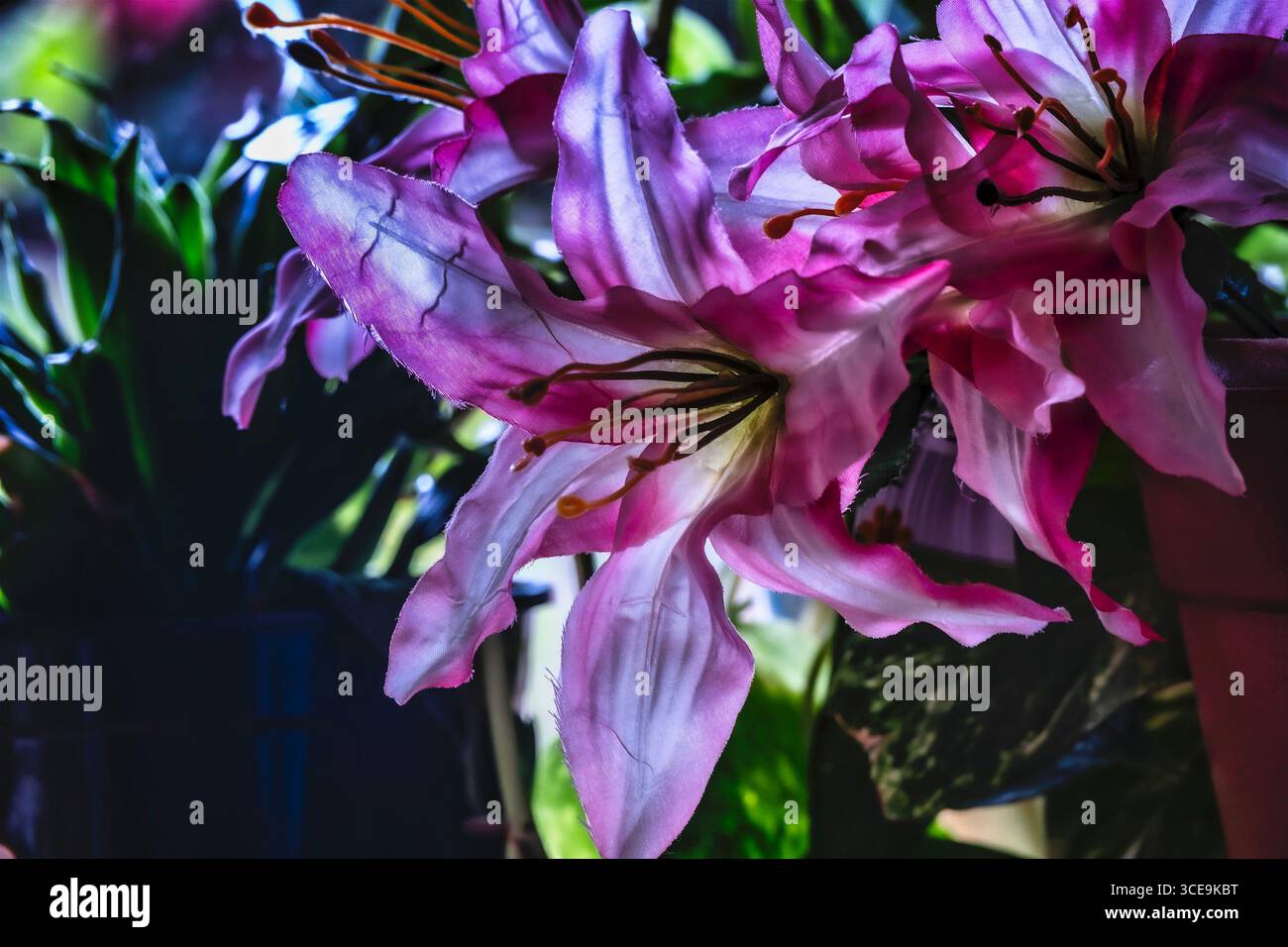 Un fiore artificiale in una finestra Foto Stock
