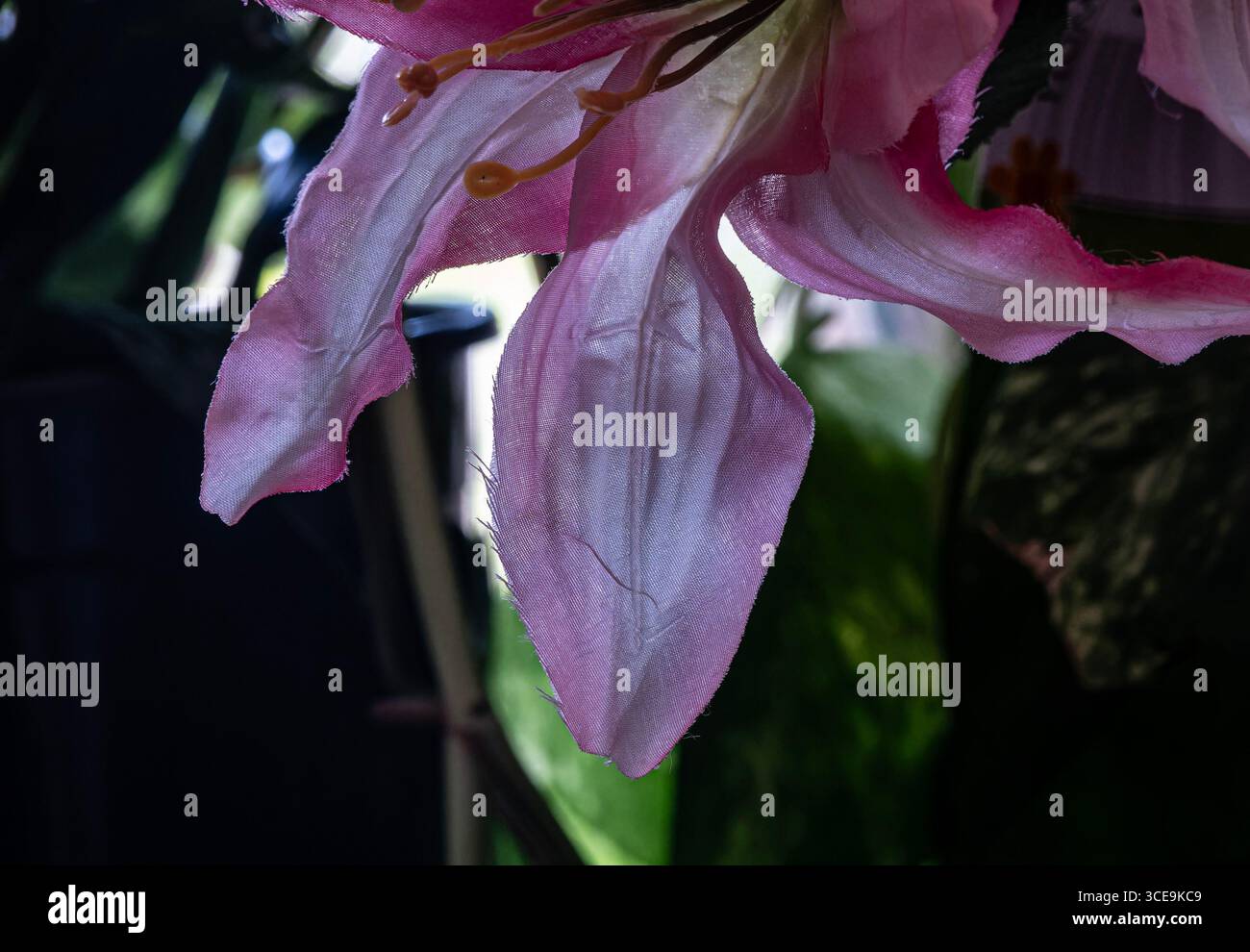 Un fiore artificiale in una finestra Foto Stock