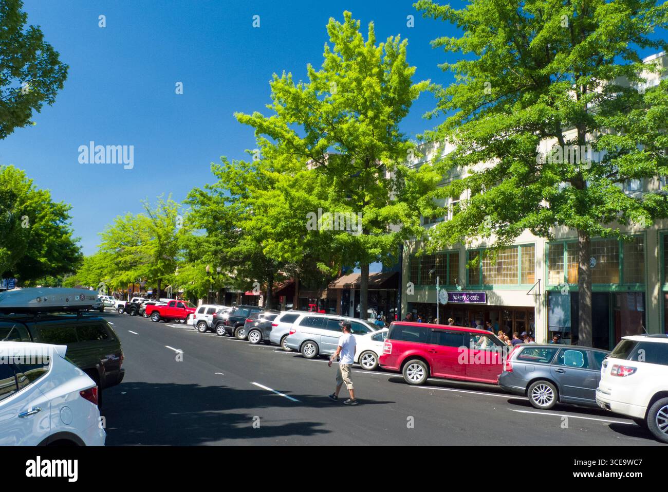 Bond St, piegare Deschutes County, Oregon, Stati Uniti d'America Foto Stock