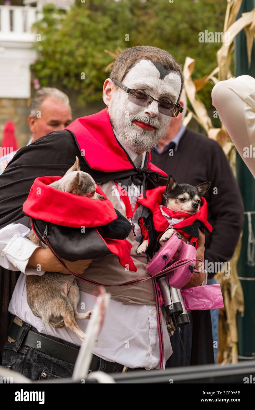 Uomo vestito in costume di Dracula tenendo due chihuahua cani dopo la OgunquitFest sfilata in costume, Main Street, Ogunquit, York County, Maine, Stati Uniti d'America Foto Stock